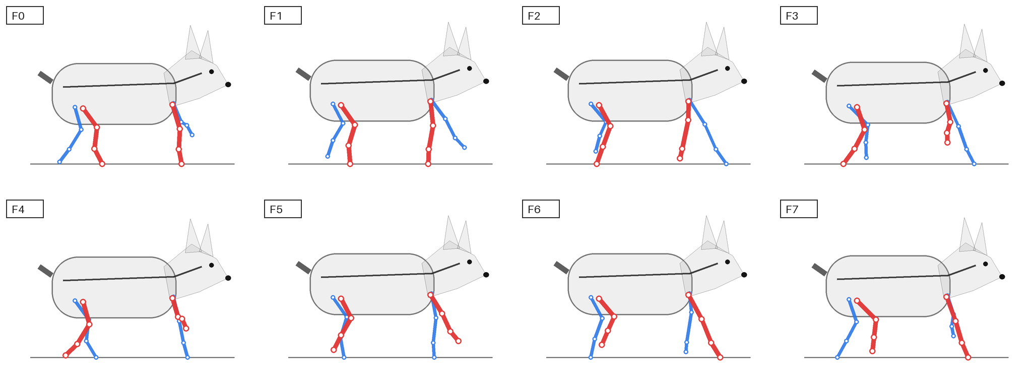 The eight-frame skeleton guide used to define contact order, planted paws, and passing poses